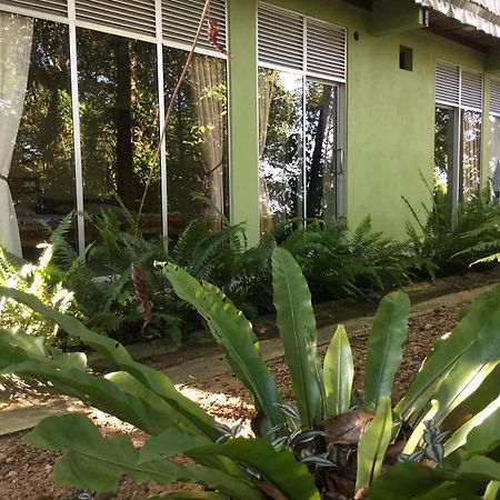Sinharaja Kurulu Ella Eco Resort Deniyaya Exteriör bild