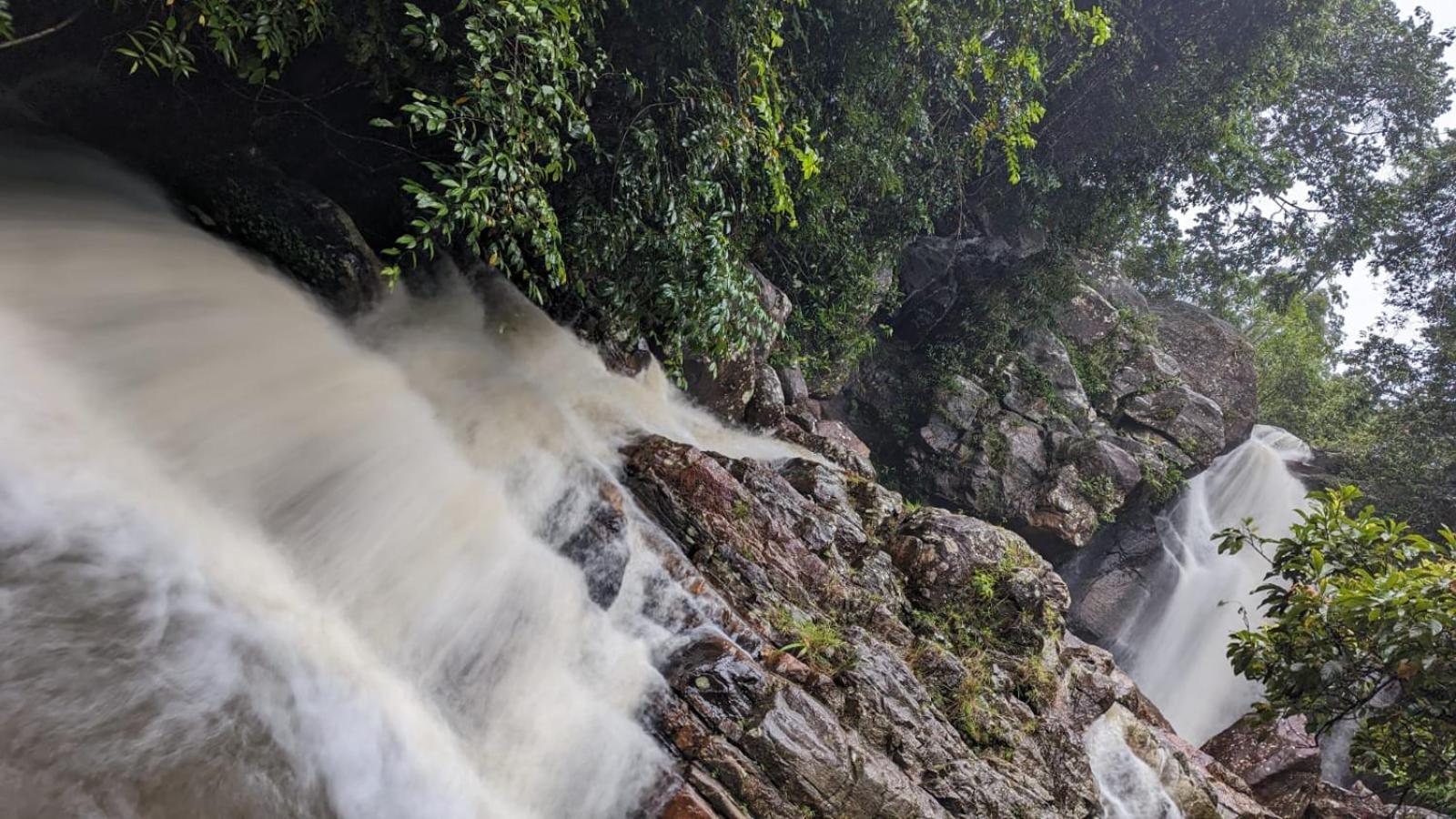 Sinharaja Kurulu Ella Eco Resort Deniyaya Exteriör bild