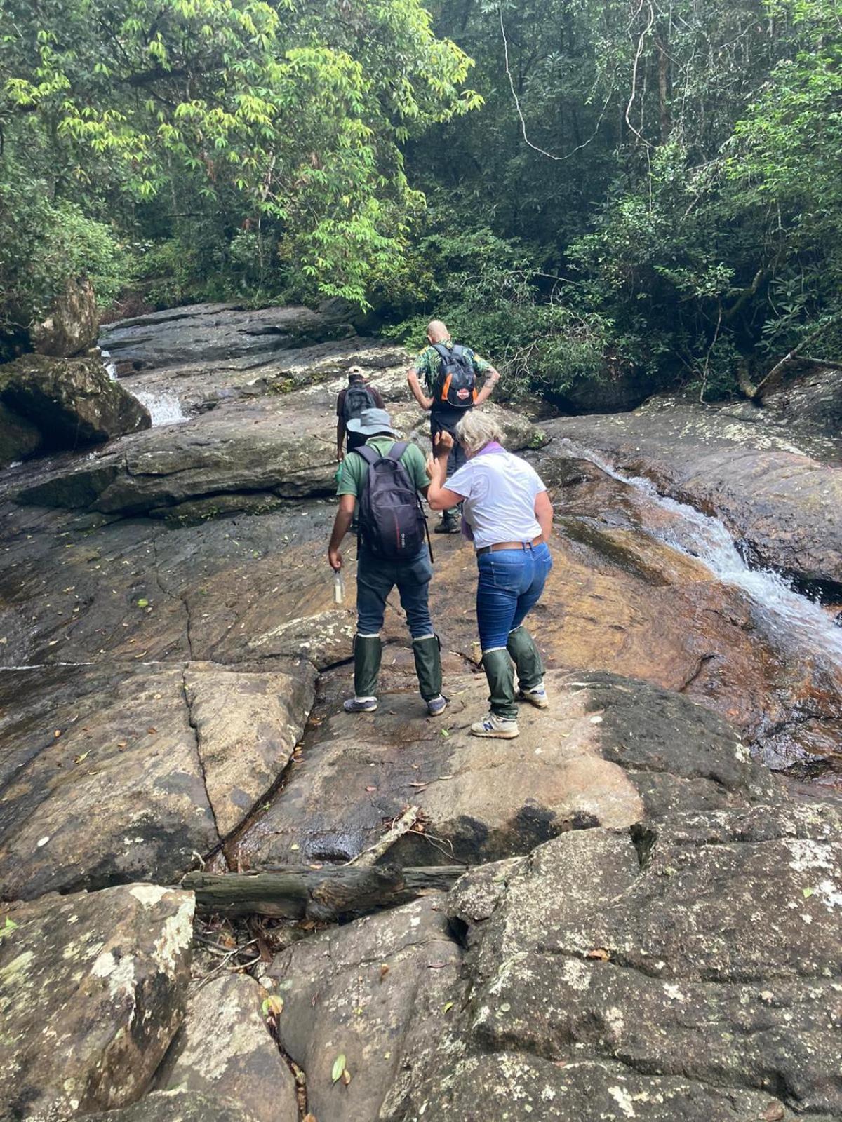 Sinharaja Kurulu Ella Eco Resort Deniyaya Exteriör bild