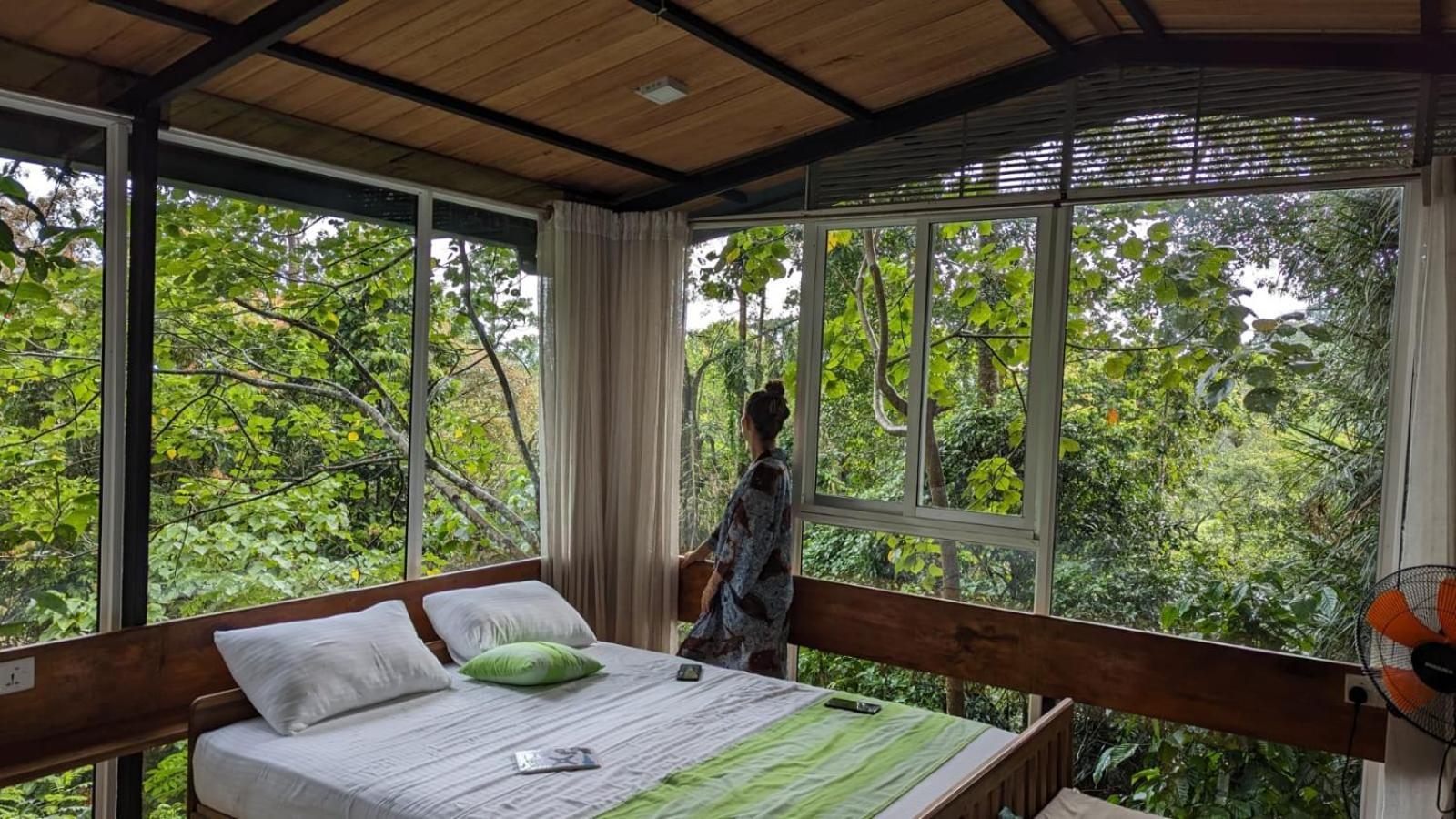 Sinharaja Kurulu Ella Eco Resort Deniyaya Exteriör bild