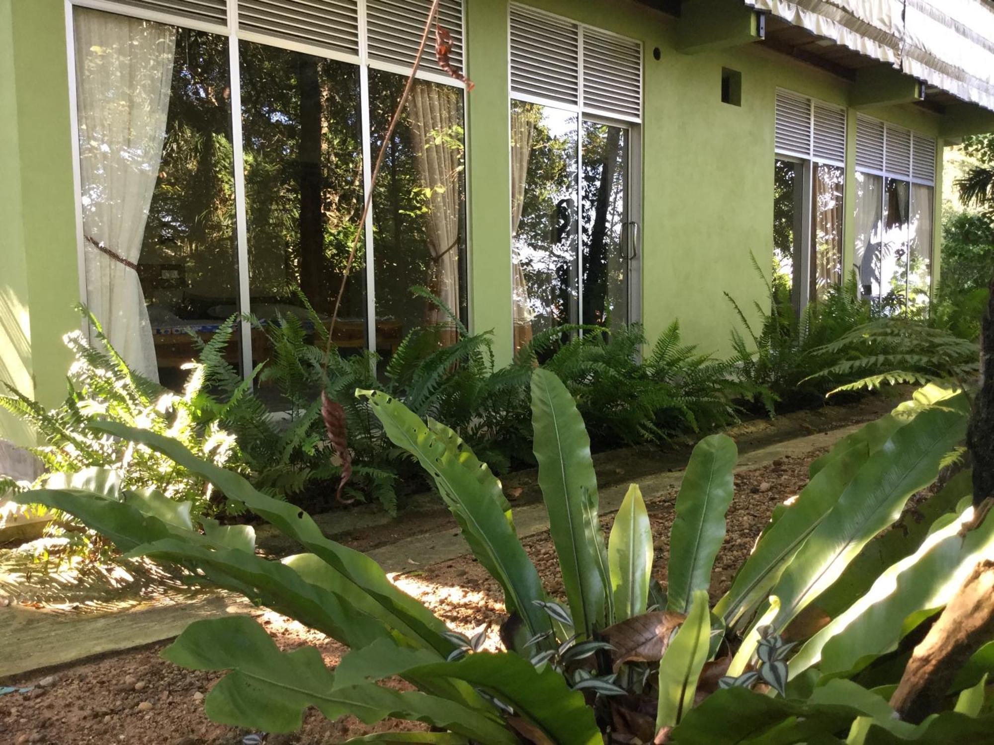 Sinharaja Kurulu Ella Eco Resort Deniyaya Exteriör bild