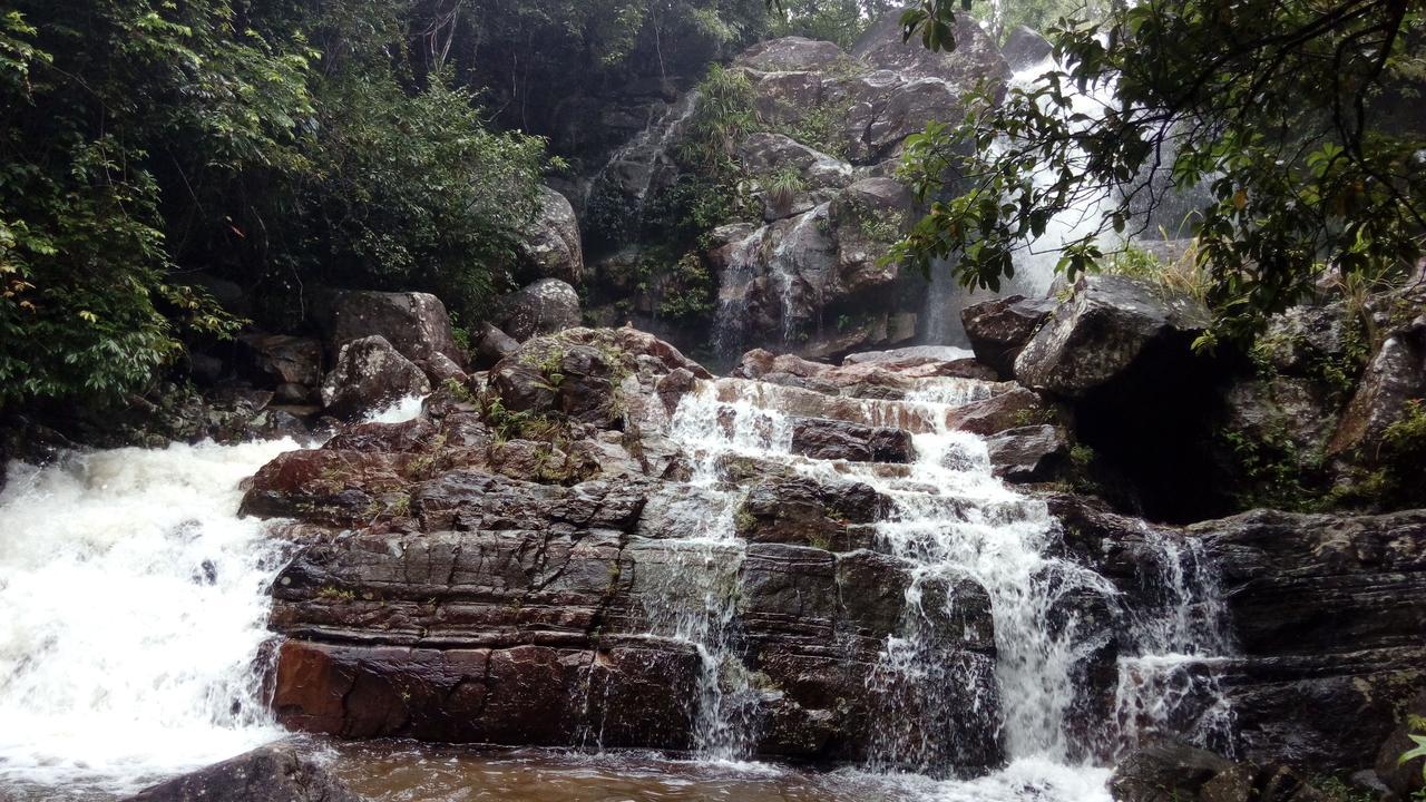 Sinharaja Kurulu Ella Eco Resort Deniyaya Exteriör bild